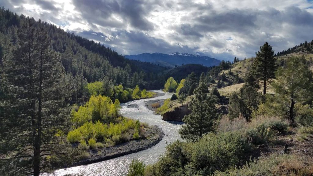 liquor license Services in Alpine County