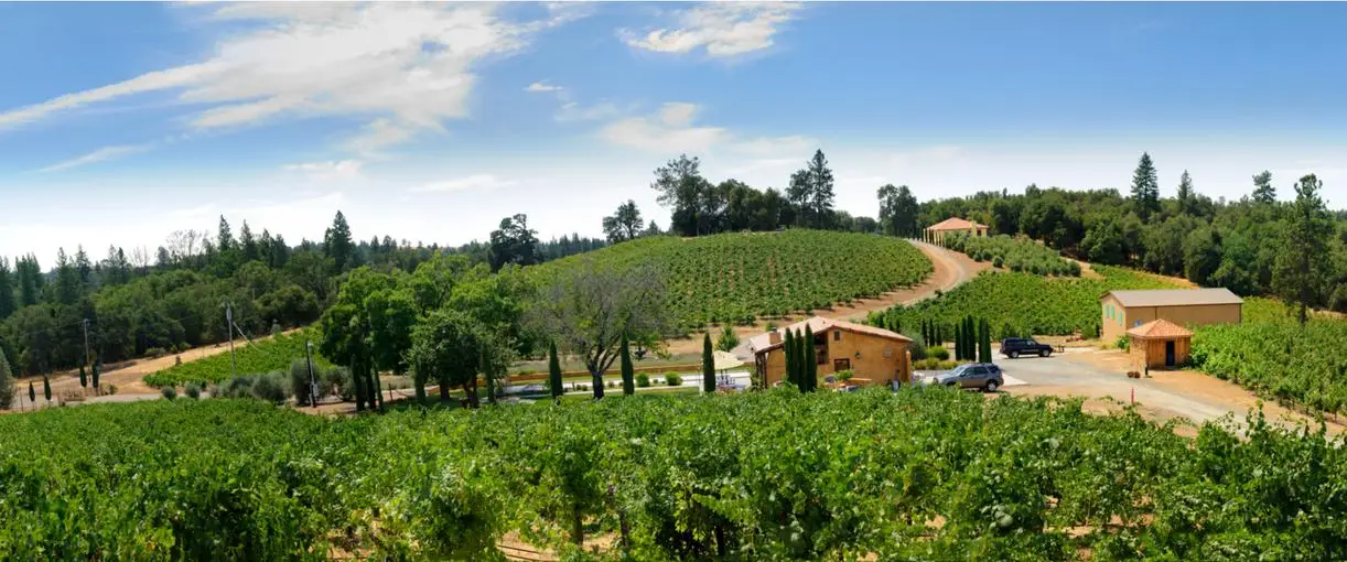 liquor license services in amador county