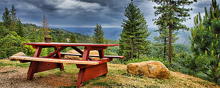 placer liquor licenses